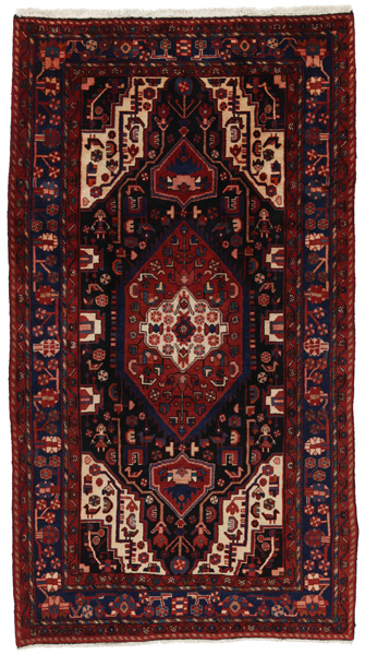 Nahavand - Hamadan Tapis Persan 305x169