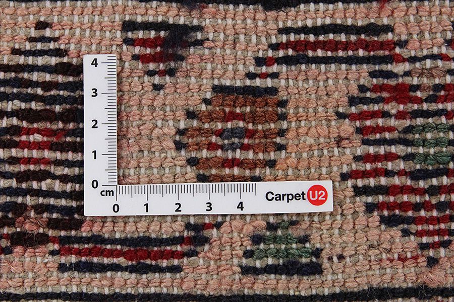 Borchalou - Hamadan Tapis Persan 315x213 - Image 3