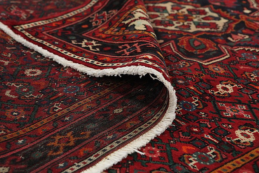 Borchalou - Hamadan Tapis Persan 224x161 - Image 4