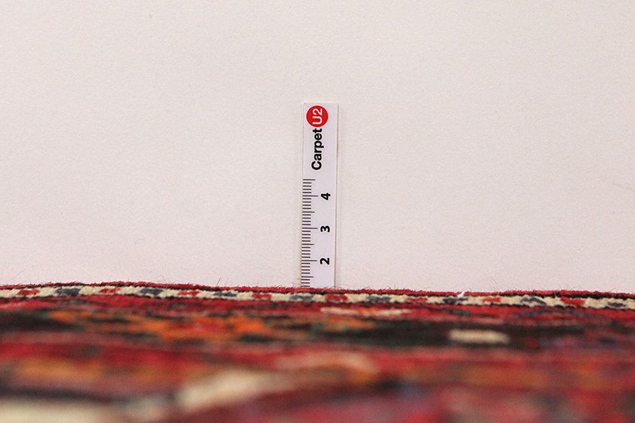 Borchalou - Hamadan Tapis Persan 224x161 - Image 7