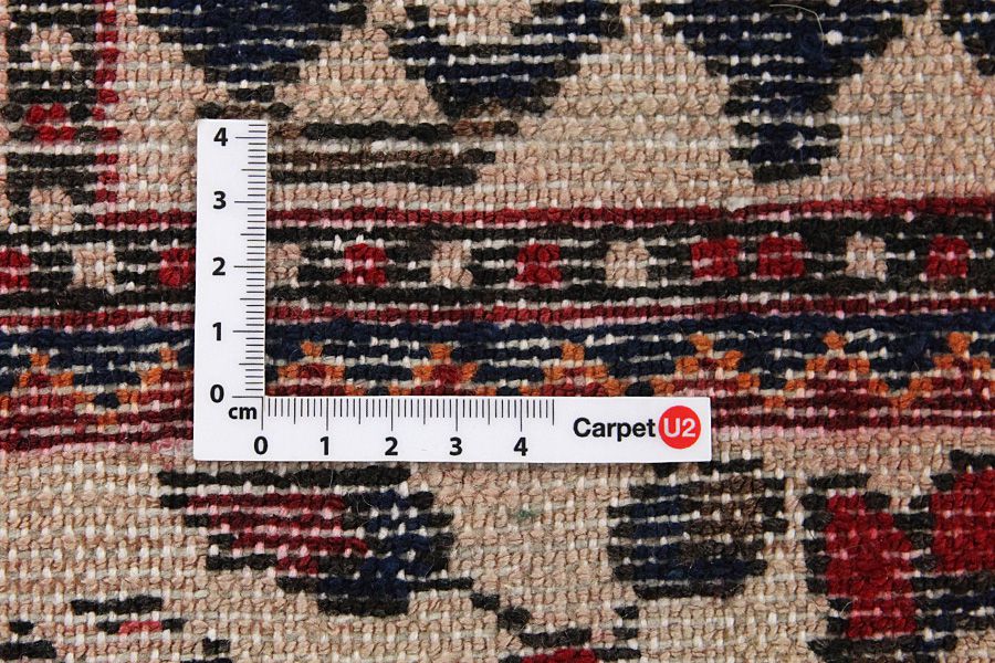 Bakhtiar - Garden Tapis Persan 261x158 - Image 3