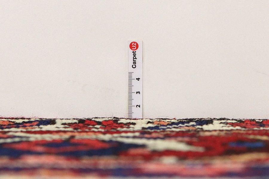 Bakhtiar Tapis Persan 309x204 - Image 7
