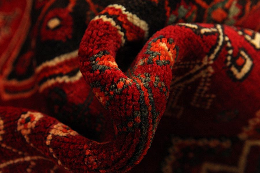 Qashqai - Shiraz Tapis Persan 243x154 - Image 6
