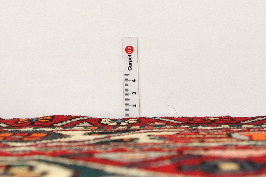 Nahavand - Hamadan Tapis Persan 287x163 - Image 7