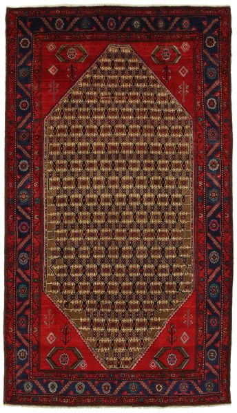 Songhor - Koliai Tapis Persan 278x158