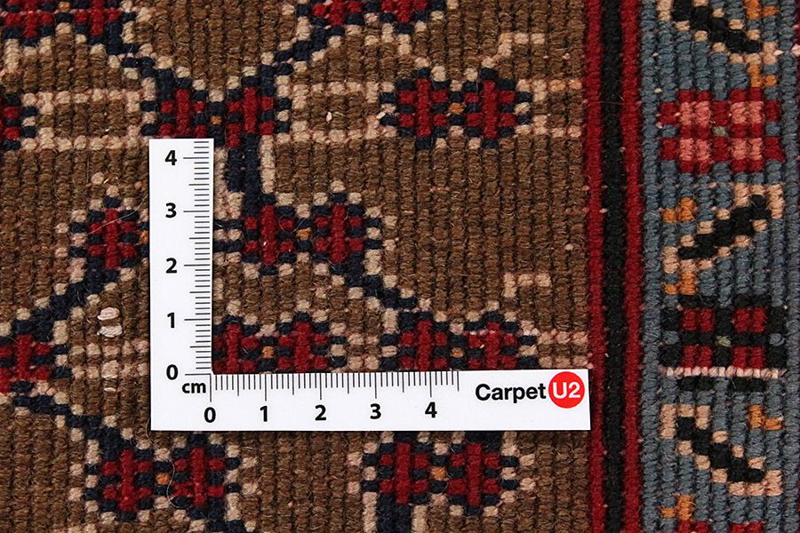 Songhor - Koliai Tapis Persan 283x150 - Image 3