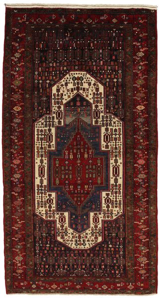 Tuyserkan - Hamadan Tapis Persan 300x160