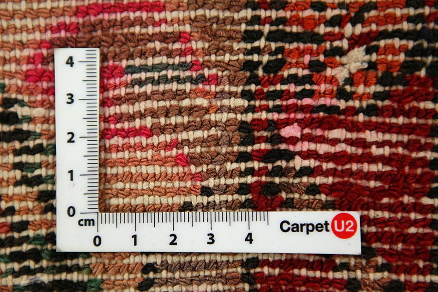 Songhor - Koliai Tapis Persan 291x150 - Image 3