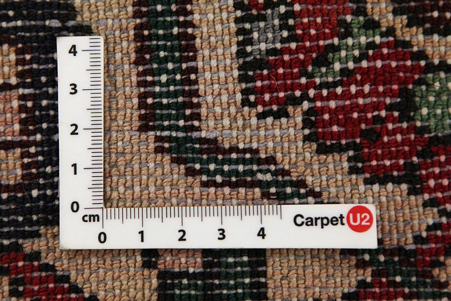 Nahavand - Hamadan Tapis Persan 293x163 - Image 3