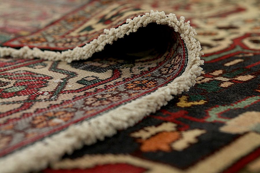 Nahavand - Hamadan Tapis Persan 293x163 - Image 4