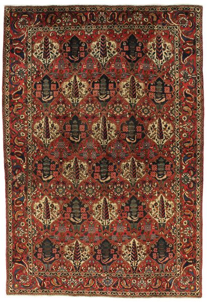 Bakhtiar - Garden Tapis Persan 310x210