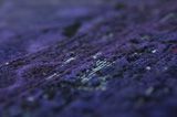 Vintage Tapis Persan 353x216 - Image 10