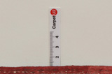 Boukhara - Turkaman Tapis Persan 376x221 - Image 8