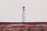 Senneh - Kurdi Tapis Persan 323x205 - Image 8