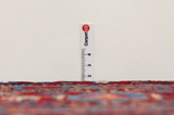 Senneh - Kurdi Tapis Persan 334x208 - Image 8