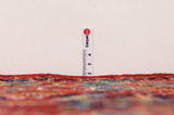 Kashan Tapis Persan 382x294 - Image 8
