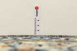 Tabriz Tapis Persan 391x279 - Image 8