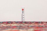 Bidjar - Kurdi Tapis Persan 309x212 - Image 8