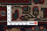 Sarough - Farahan Tapis Persan 304x198 - Image 4