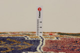 Gabbeh - Bakhtiar Tapis Persan 215x133 - Image 8