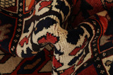 Bakhtiar - Garden Tapis Persan 305x210 - Image 7