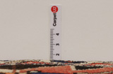 Bakhtiar - Garden Tapis Persan 305x210 - Image 8