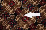 Songhor - Koliai Tapis Persan 278x158 - Image 17