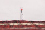 Afshar - Sirjan Tapis Persan 247x162 - Image 8
