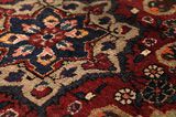 Songhor - Koliai Tapis Persan 270x153 - Image 10
