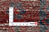 Afshar - Sirjan Tapis Persan 250x145 - Image 4