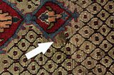 Songhor - Koliai Tapis Persan 300x152 - Image 17