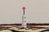Bakhtiar - Qashqai Tapis Persan 402x142 - Image 8