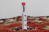 Yalameh - Qashqai Tapis Persan 212x134 - Image 11