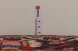 Bakhtiar - Garden Tapis Persan 313x208 - Image 8