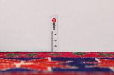 Enjelas - Hamadan Tapis Persan 224x147 - Image 8